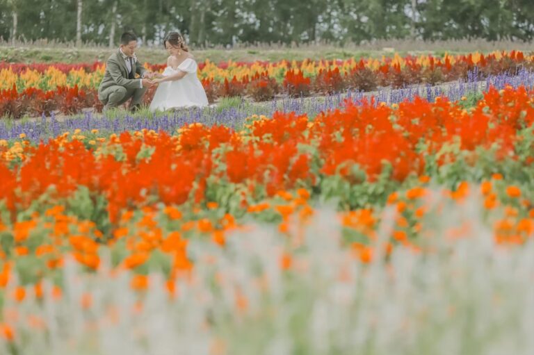 bf1d69c2eb4d9f1d22b2c02d77fff43c-1-768x511