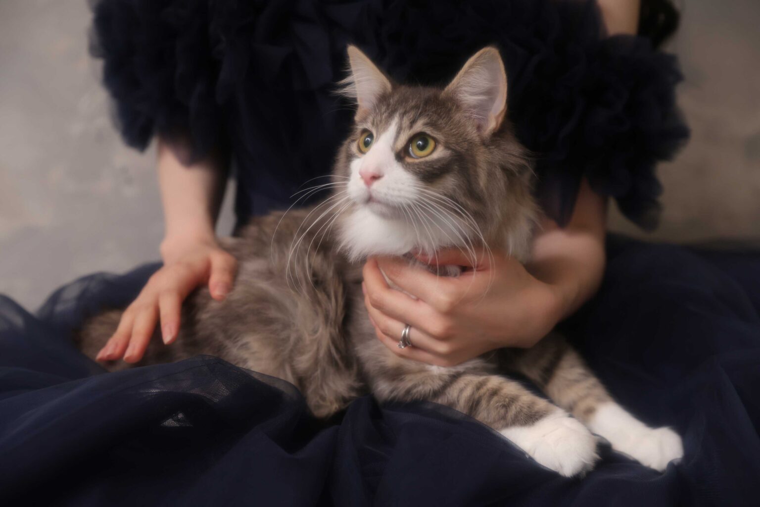 76519481cdd94298bae5b87f534231c3-1536x1024